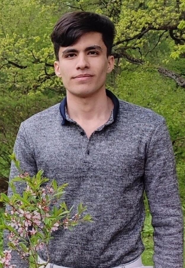 ���� 50012978 ����� �����, 23 ����, ���� ���������� � ������