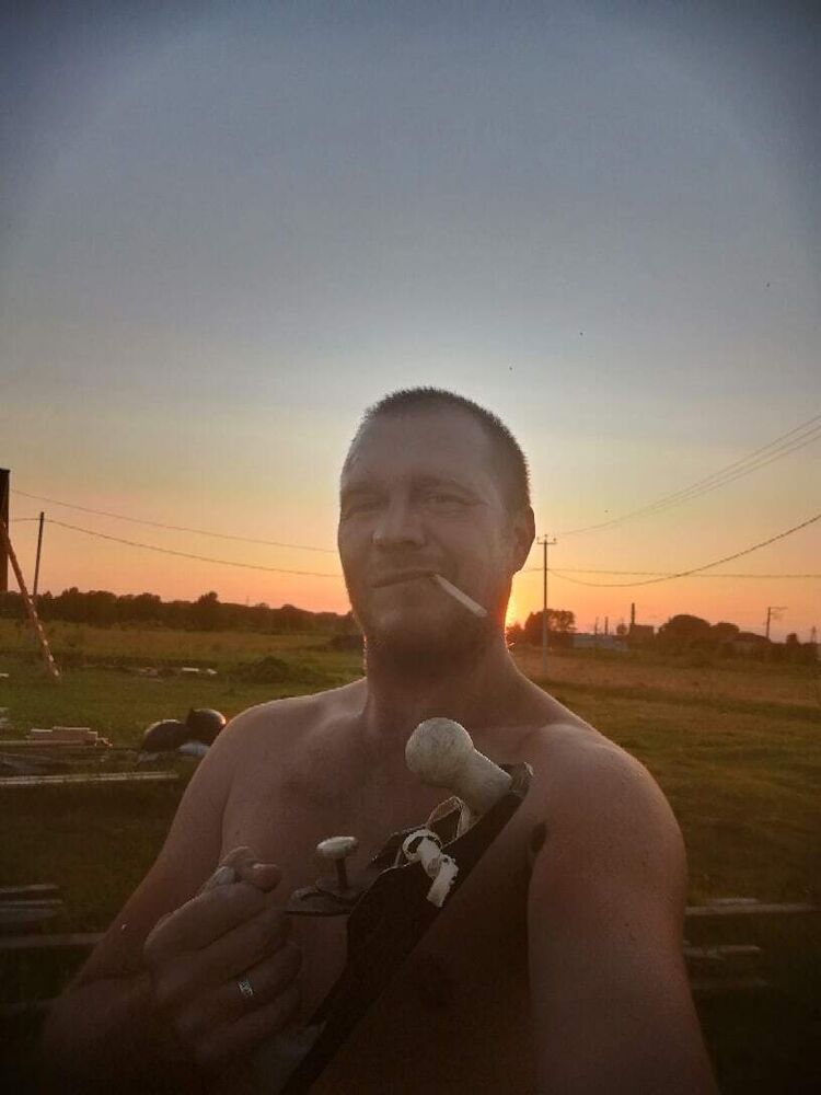  53448238  , 43 ,    