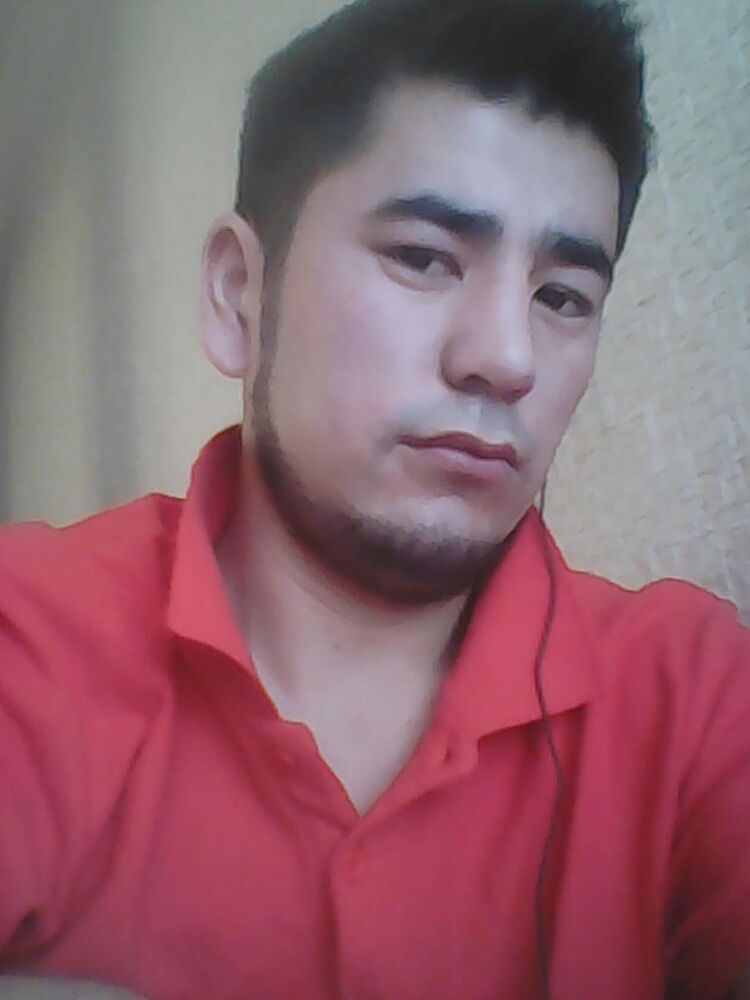 ���� 41565208 ������� ����, 32 ����, ���� ���������� � ������