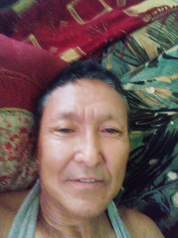  43919348  , 55 ,    