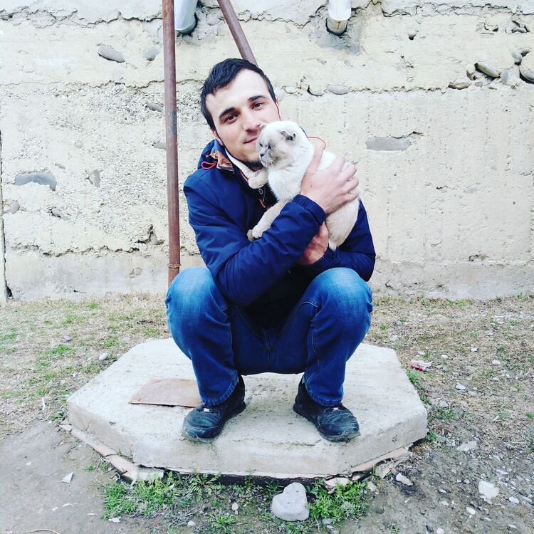 ���������� ������, ���� ������� ��������, 29 ���, ������������ ��� ����� � ���������, c�������� ���������