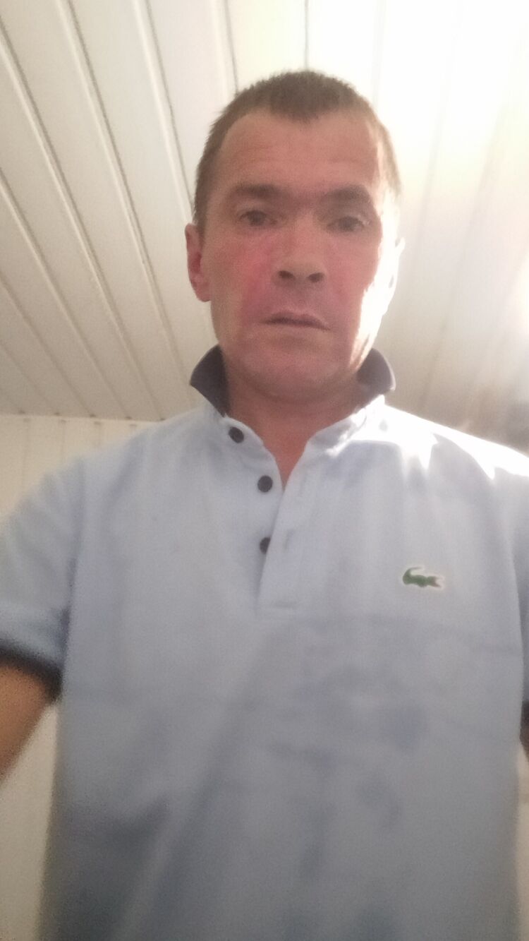  48135738  , 43 ,    