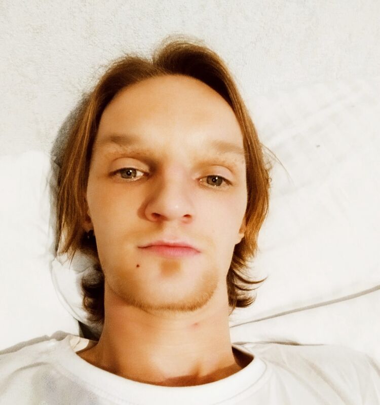  31054958  , 33 ,    -