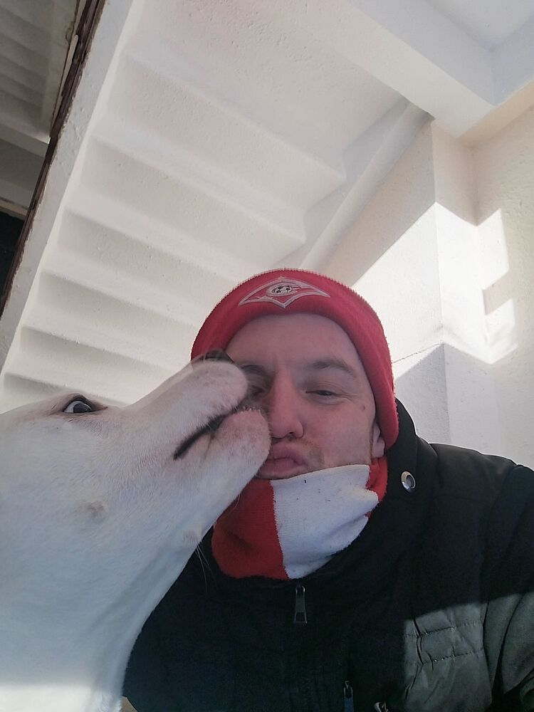 ���� 55291678 ������� ������, 34 ����, ���� ���������� � �������