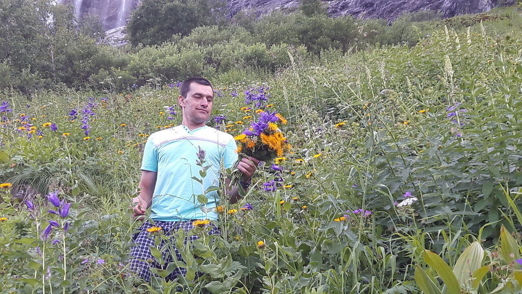  ,   , 44 ,   , c , 