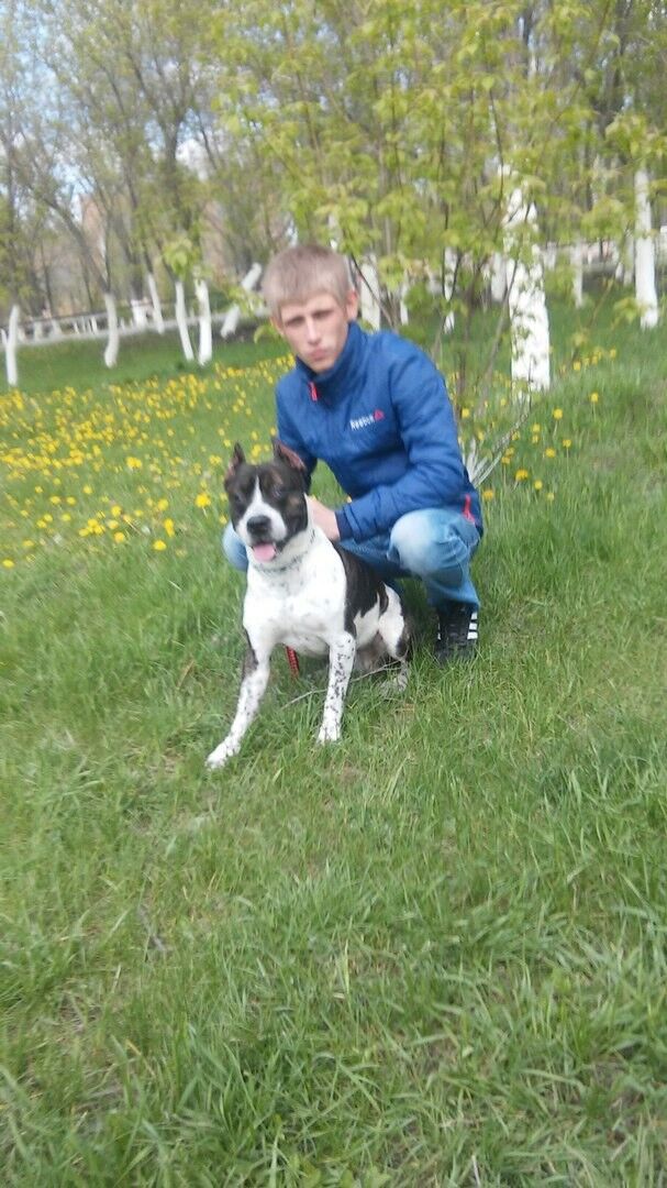 ���� 8038378 ������� �����, 31 ���, ���� ���������� � ���������