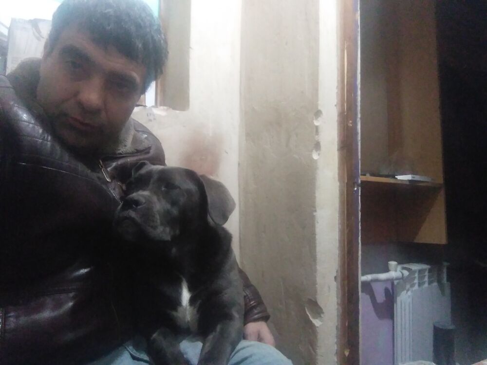  38117848  , 43 ,    --