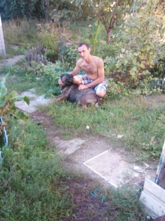 ���������� �������, ���� ������� ������, 42 ����, ������������ ��� ������, ����� � ���������