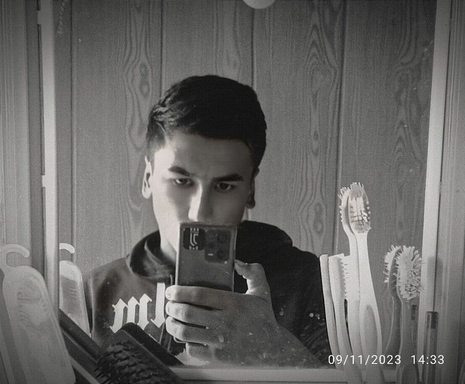  50147868  King, 20 ,     