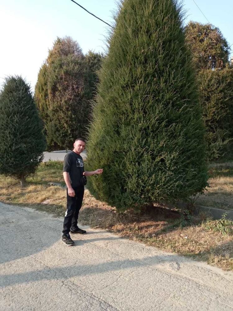  ,   , 39 ,   ,   , c 