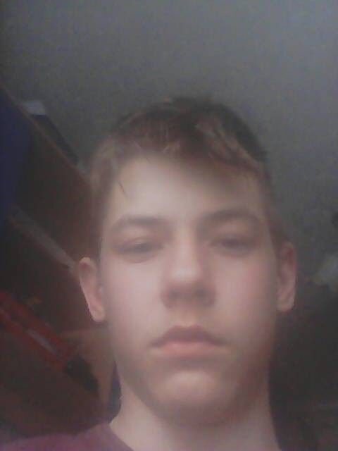  15743348  , 29 ,    