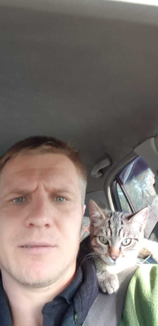  50321658  , 39 ,    