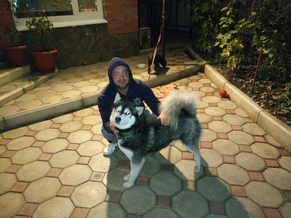 ���������� ��������, ���� ������� �����, 34 ����, ������������ ��� ����� � ���������, c�������� ���������