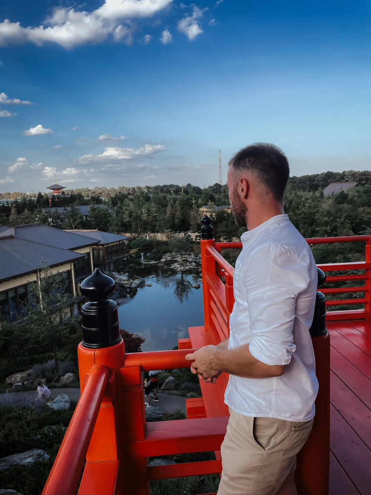 ���������� ������-��-����, ���� ������� �������, 29 ���, ������������ ��� ����� � ���������, c�������� ���������