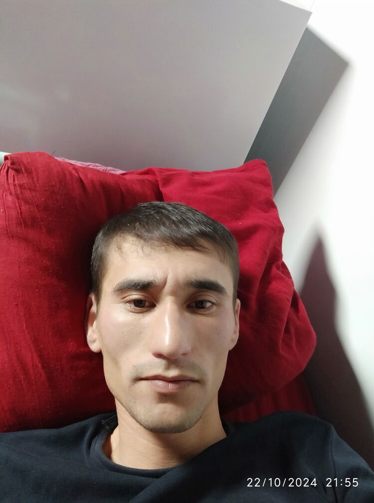  47064828  , 33 ,    