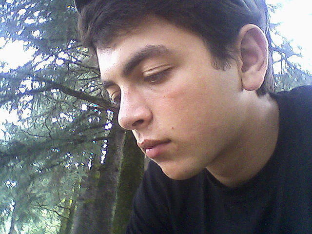 ���������� ������, ���� ������� 995593008582, 36 ���, ������������ ��� ������, ����� � ���������, c�������� ���������, ���������