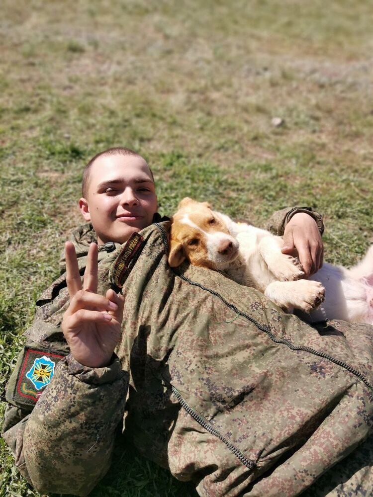 ���� 53346428 ����� ����, 22 ����, ���� ���������� � �����