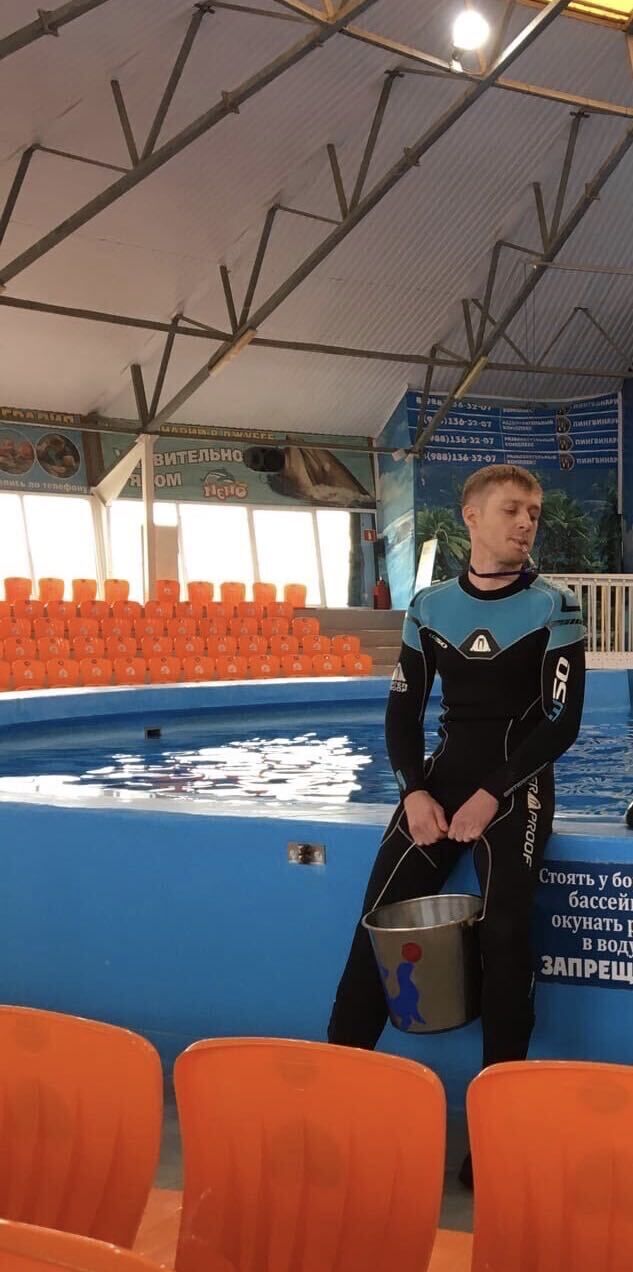 ���������� ����, ���� ������� �������, 34 ����, ������������ ��� ������, ����� � ���������, c�������� ���������, ���������