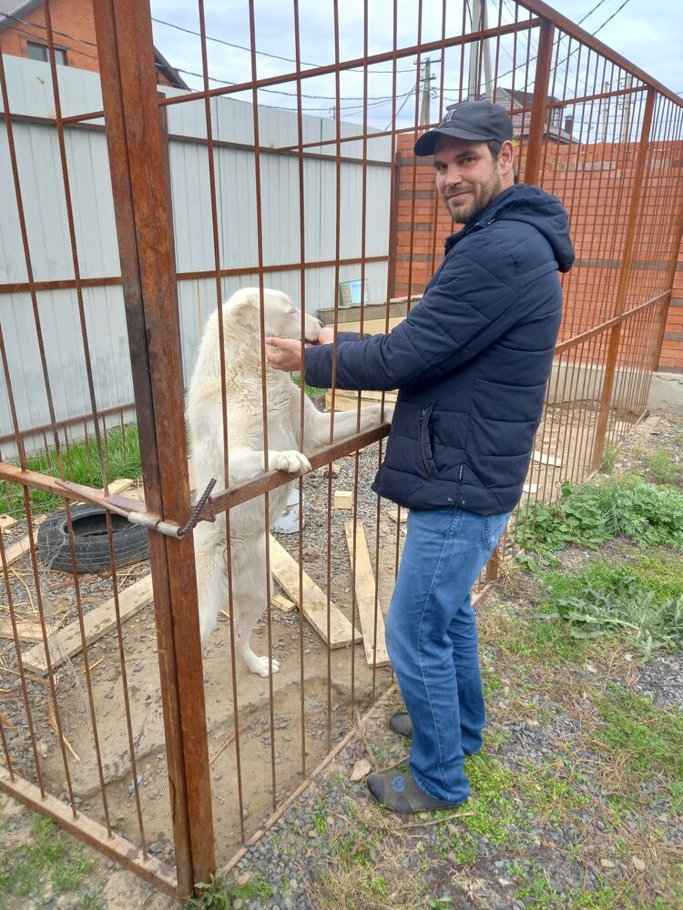 ���� 31181858 ������� ����, 37 ���, ���� ���������� � �������-��-����