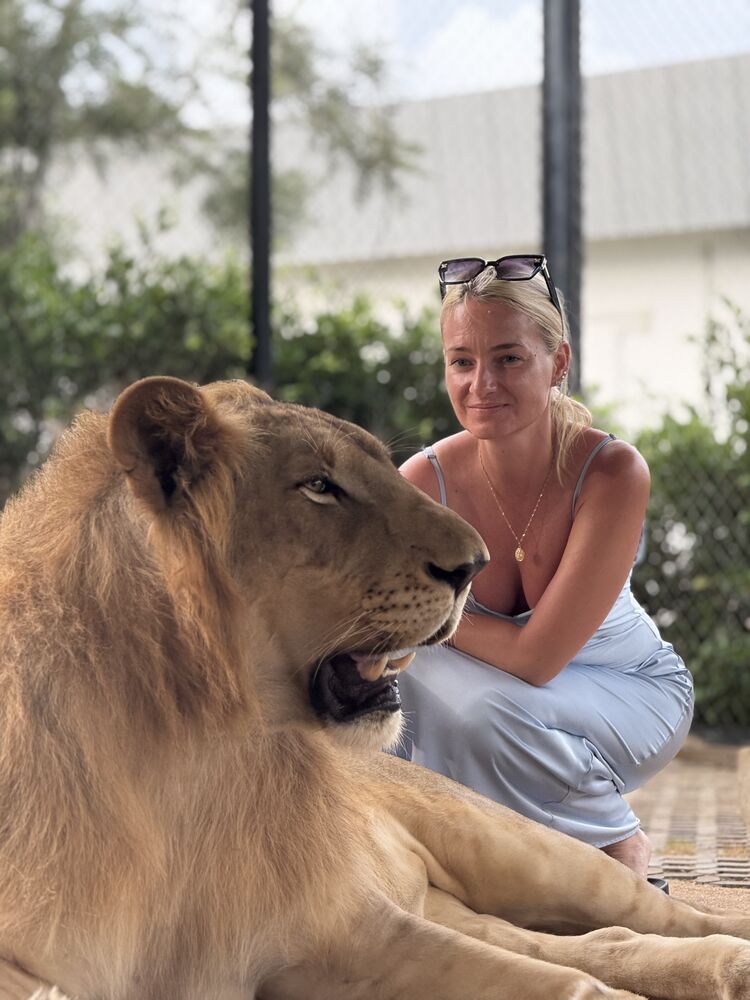 ���� 55300388 ������� �������, 40 ���, ���� ���������� � �����