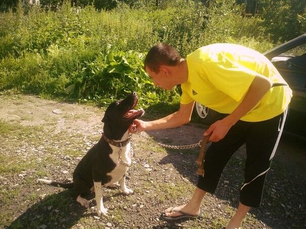 ���������� ���������, ���� ������� ����, 34 ����, ������������ ��� ������