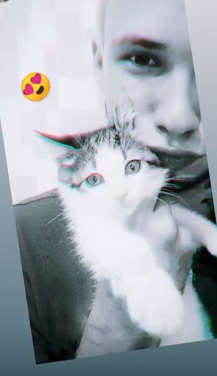  ,   , 24 ,   ,   , 