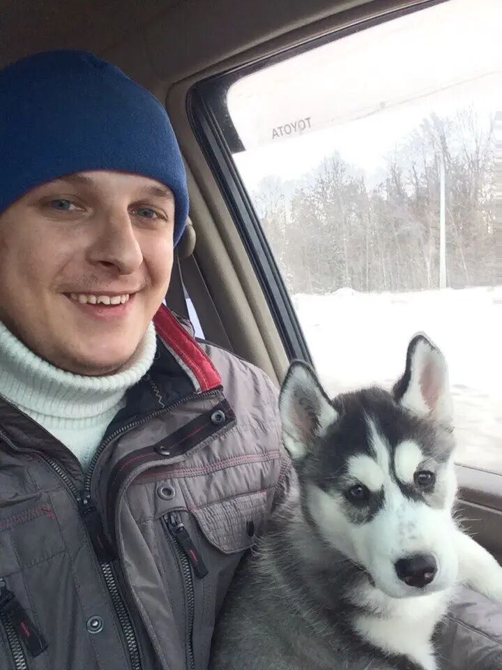 ���������� ������, ���� ������� �������, 34 ����, ������������ ��� ����� � ���������, c�������� ���������