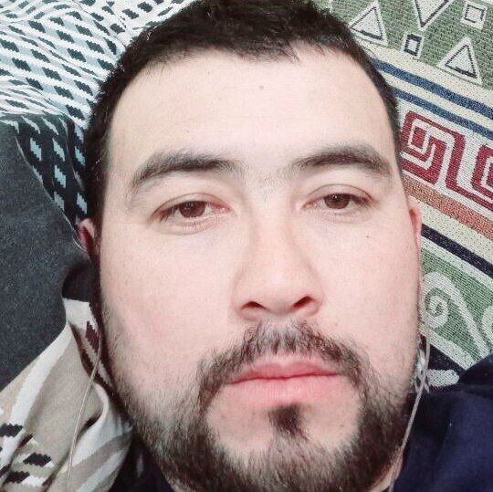 ���� 40663808 ������� Polat, 36 ���, ���� ���������� � ��������