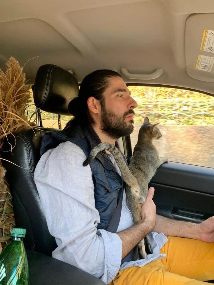 ���������� ������, ���� ������� �������, 38 ���, ������������ ��� ������, ����� � ���������