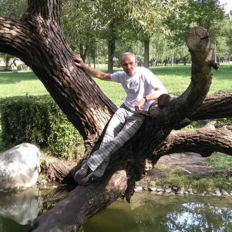 ���� 19647928 ������� �������, 42 ����, ���� ���������� � ������