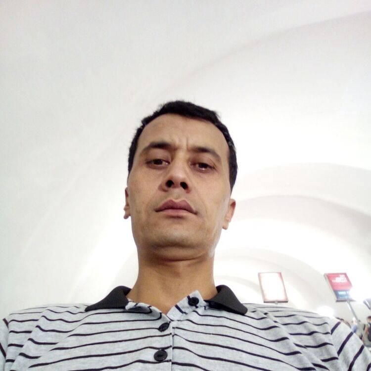  30831288  , 43 ,    -