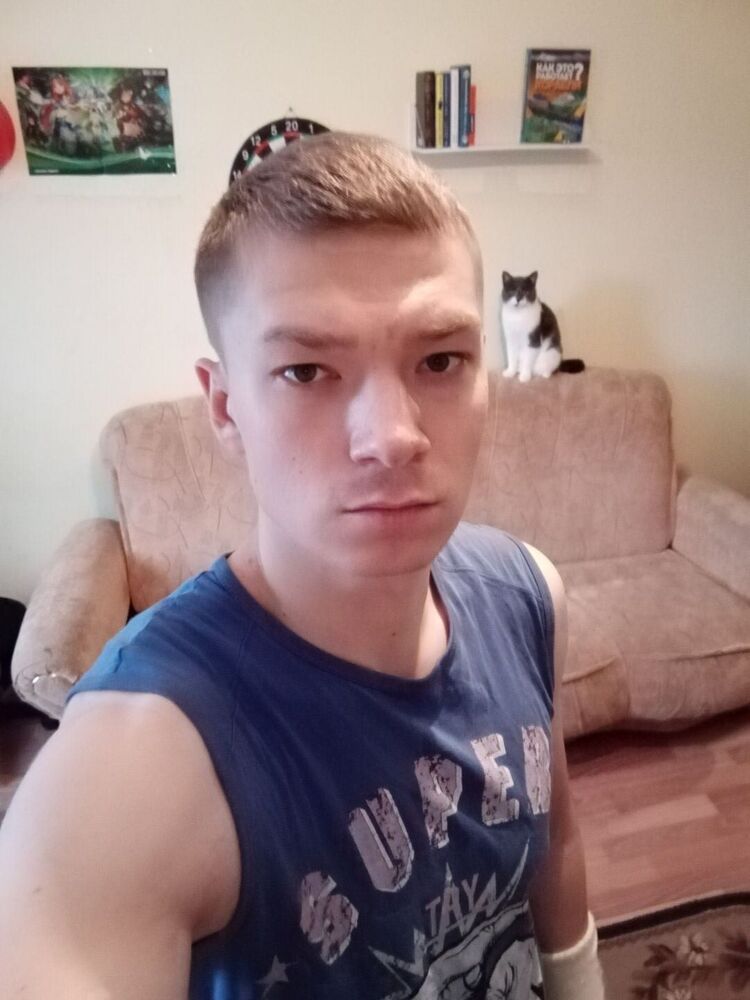  33500858  , 31 ,    