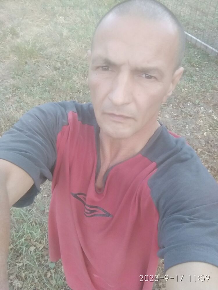  37880218  , 57 ,    