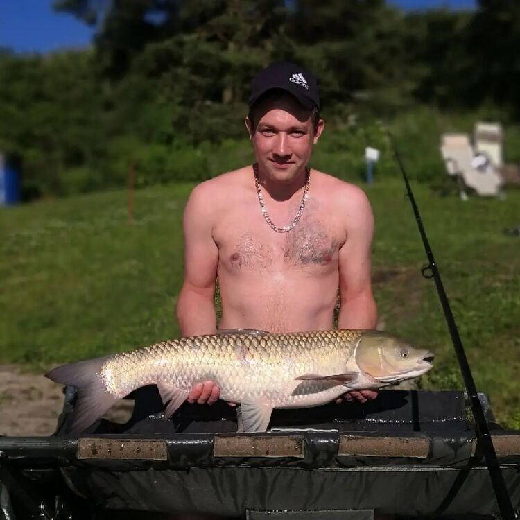 ���� 37221038 ������� �����, 33 ����, ���� ���������� � ���������