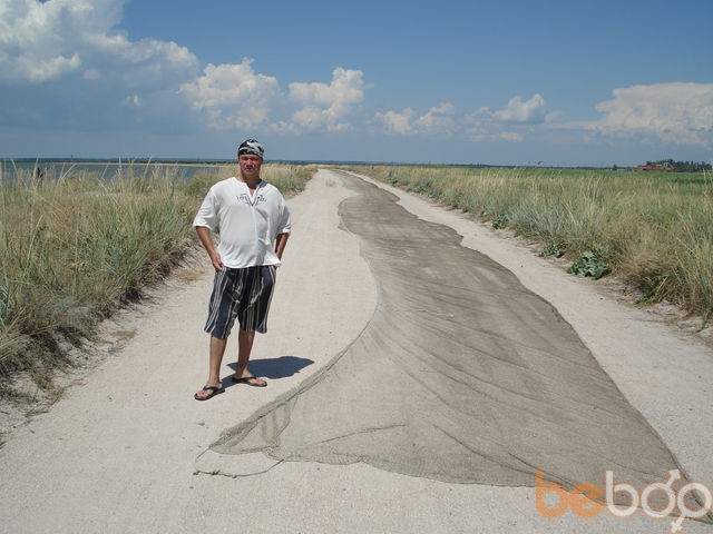 ���� 1166388 ������� Transerfer, 42 ����, ���� ���������� � �������