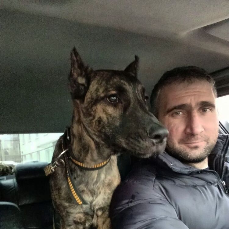 ���������� �����������, ���� ������� Alexander, 36 ���, ������������ ��� ������, ����� � ���������, ���������