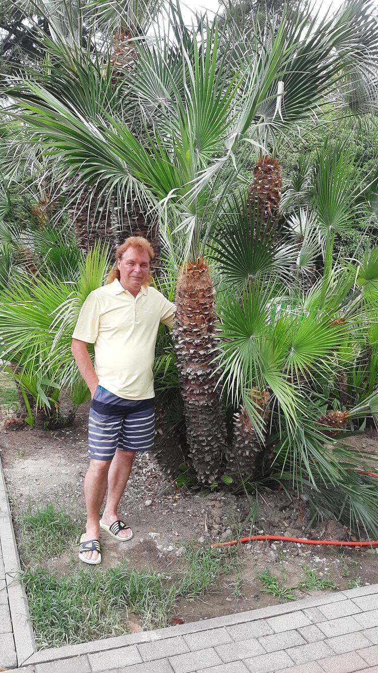  ,   , 58 ,   ,   