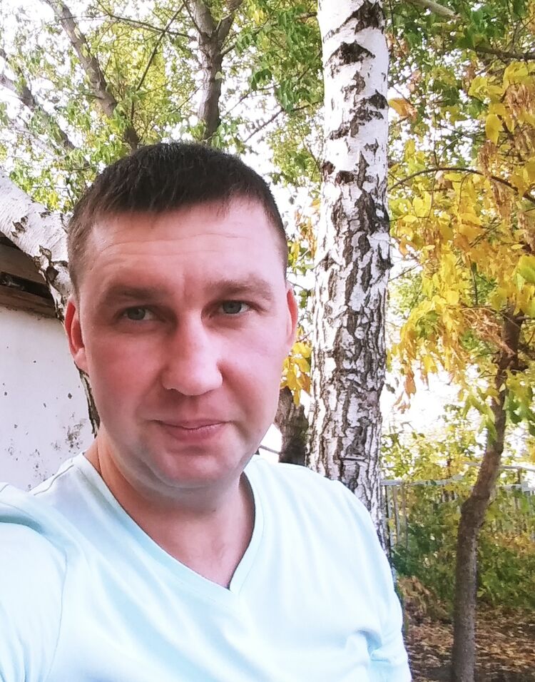  41627438  , 38 ,    