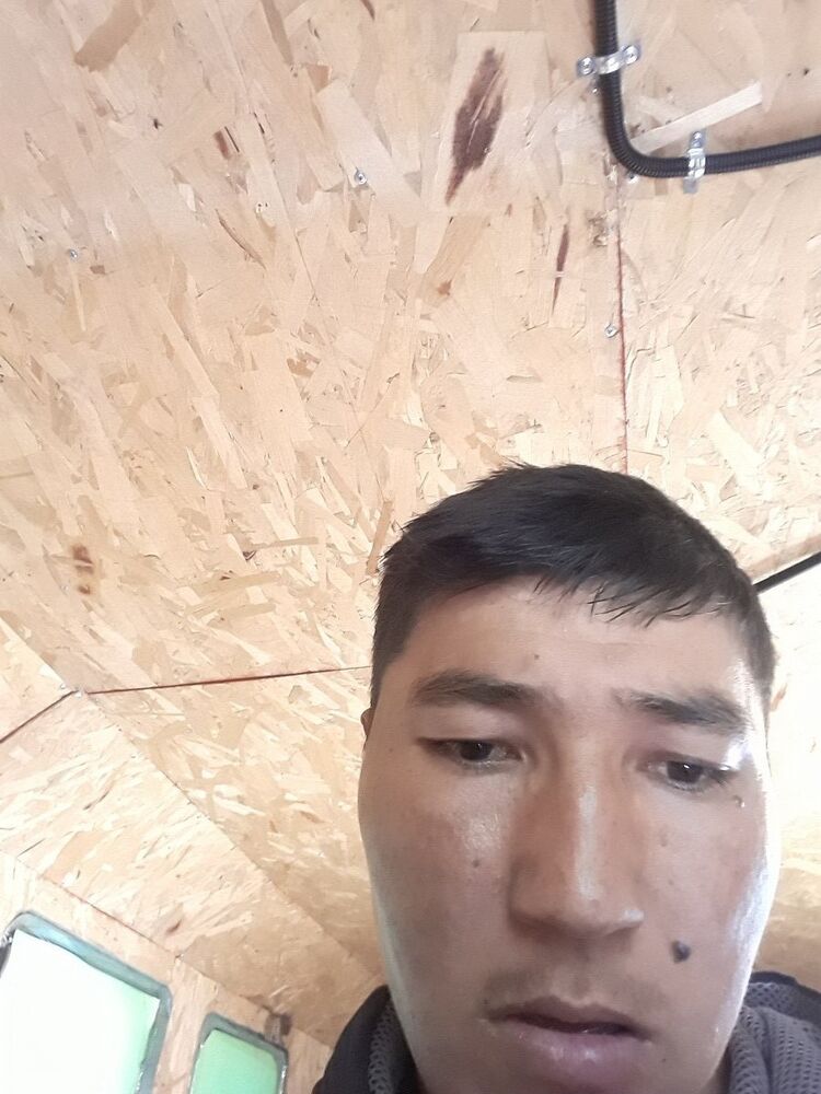 14302188  , 38 ,    