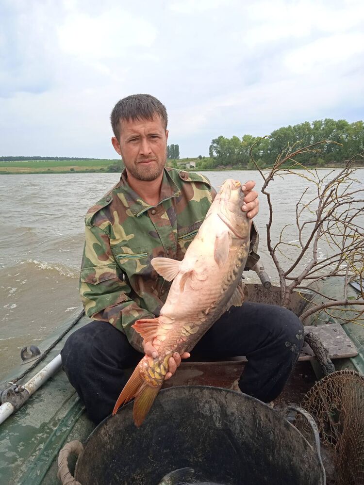  ,   Vasile, 35 ,   ,   , c 