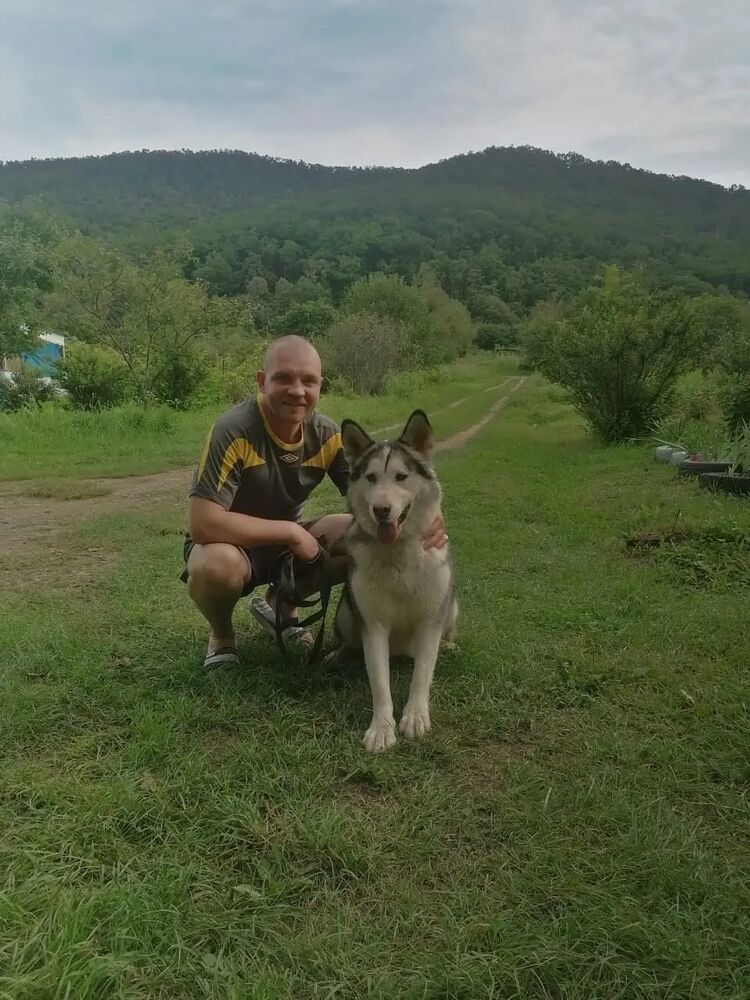 ���������� �����������, ���� ������� ����������, 38 ���, ������������ ��� ������, ����� � ���������