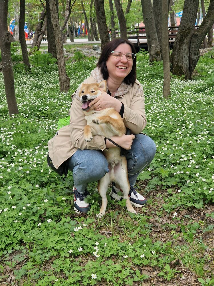  53729288  , 38 ,    -