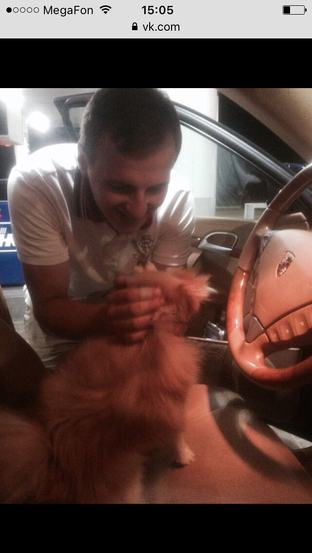 ���������� ������, ���� ������� ����, 34 ����, ������������ ��� ������, ����� � ���������, c�������� ���������