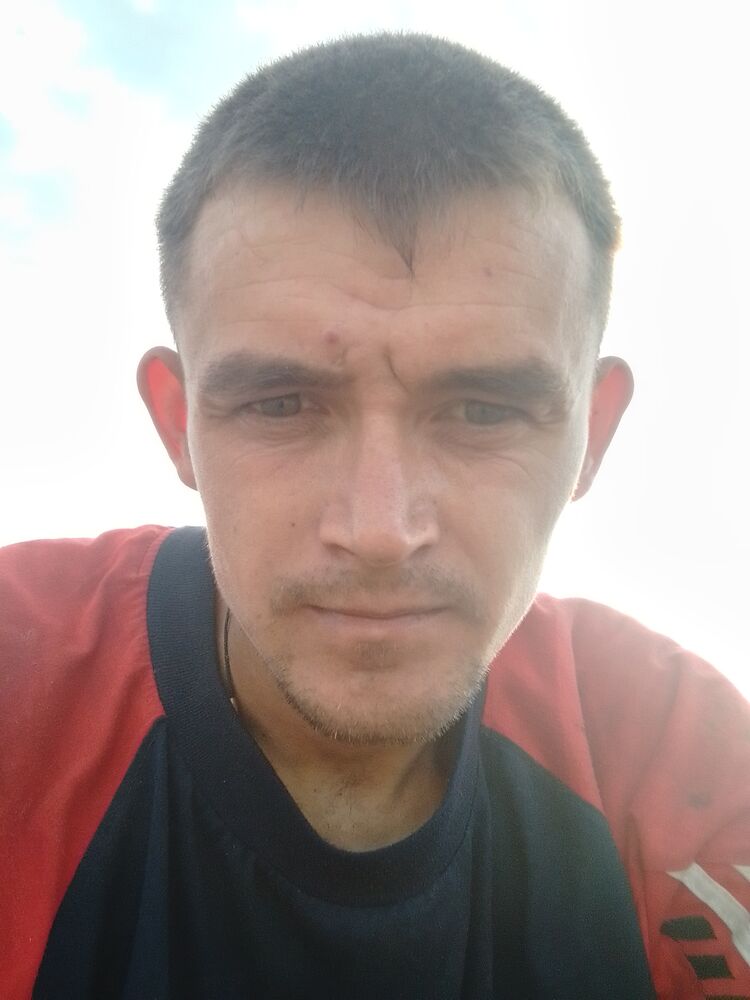  44555958  , 33 ,    