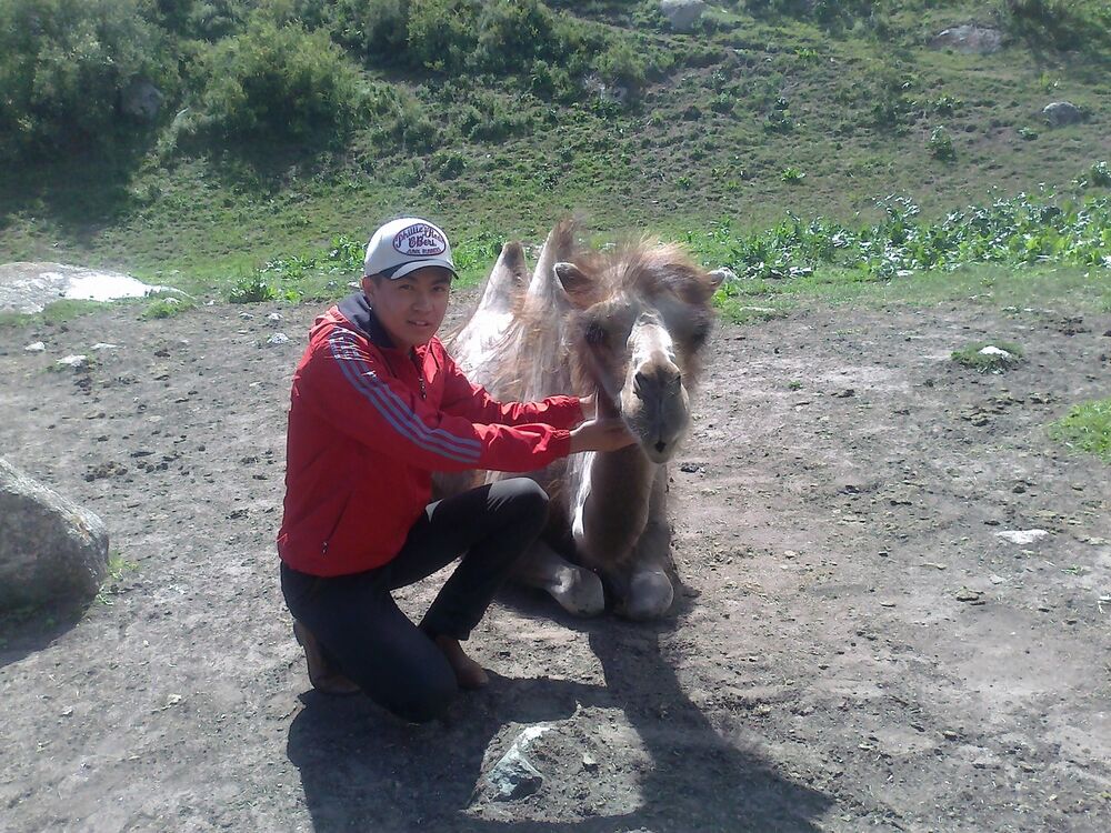  6386488  ErmeK, 30 ,    