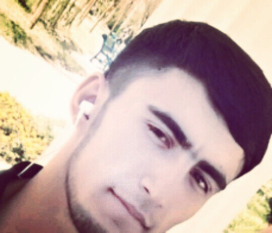 ���������� �����-���������, ���� ������� ADINOKI VOLK, 32 ����, ������������ ��� ������, ����� � ���������, c�������� ���������