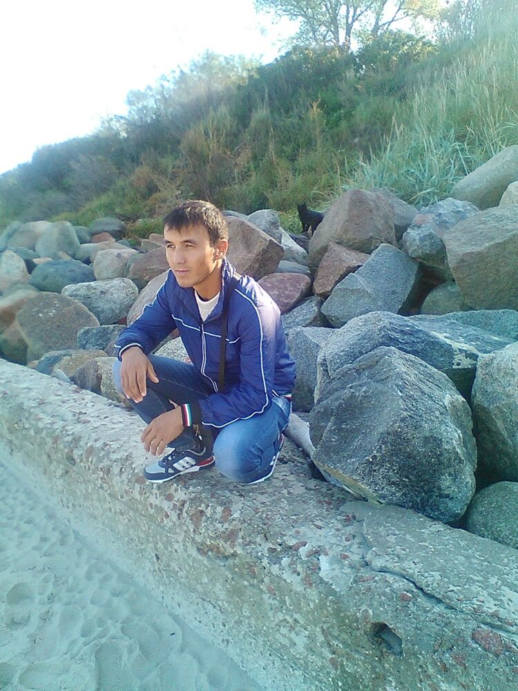  ,   Lion king, 36 ,     , c 