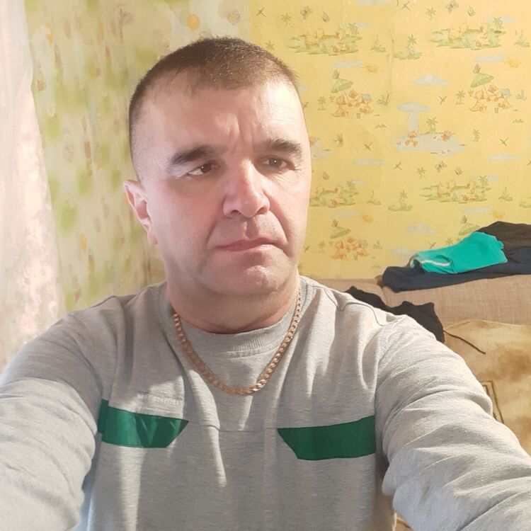  43081518  , 39 ,    