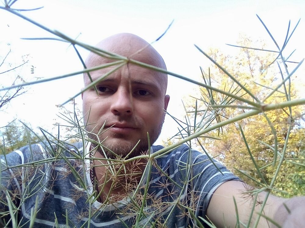 ���� 17803528 ������� ������, 40 ���, ���� ���������� � ��������