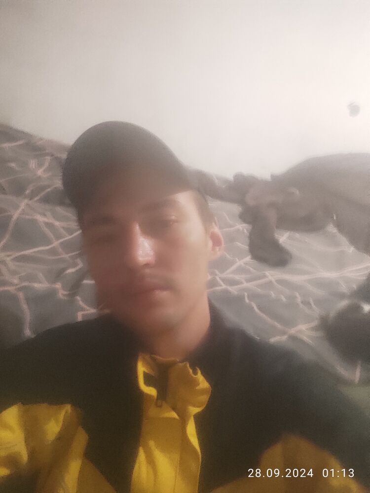  46492938  , 33 ,    